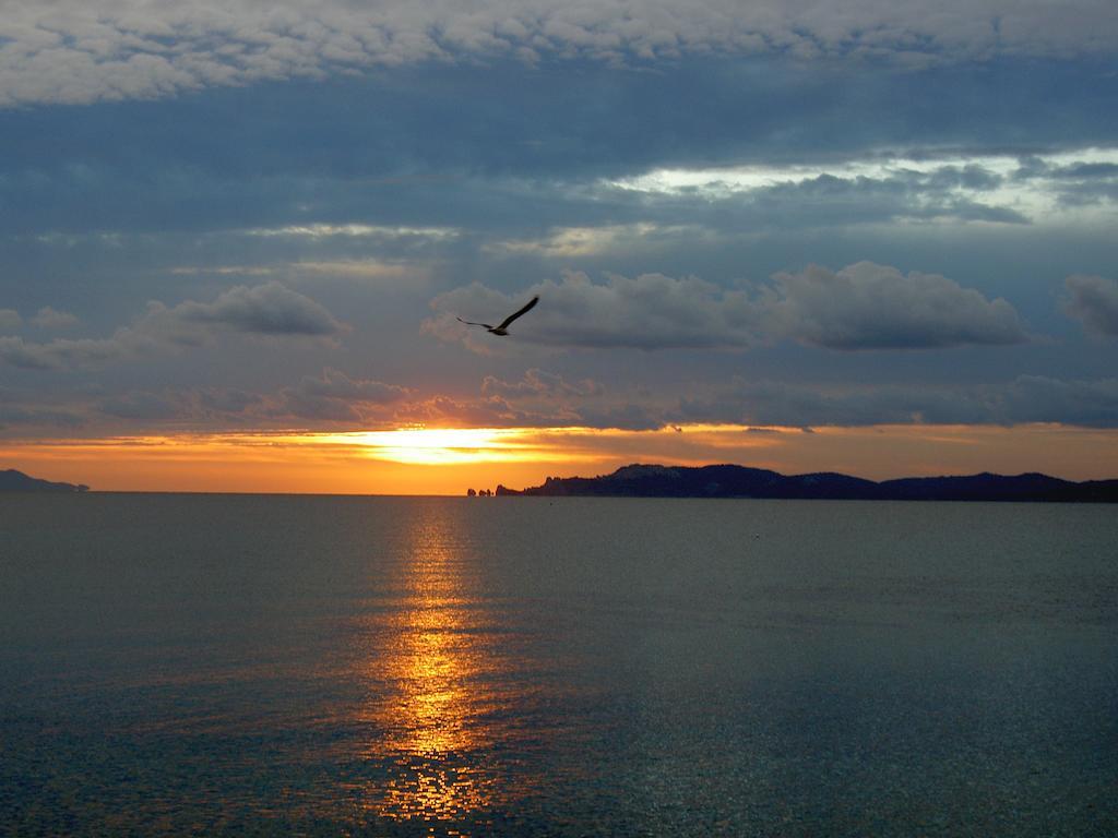 Hotel Lido Beach Hyères Exteriör bild